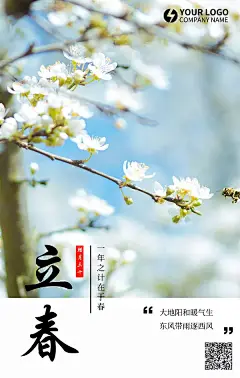 节气立春简约风手机海报