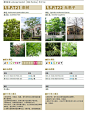 景观常用植物 附 市场价格 、施工说明 高价值植物图集