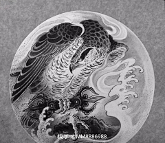≡*緈諨采集到鹰