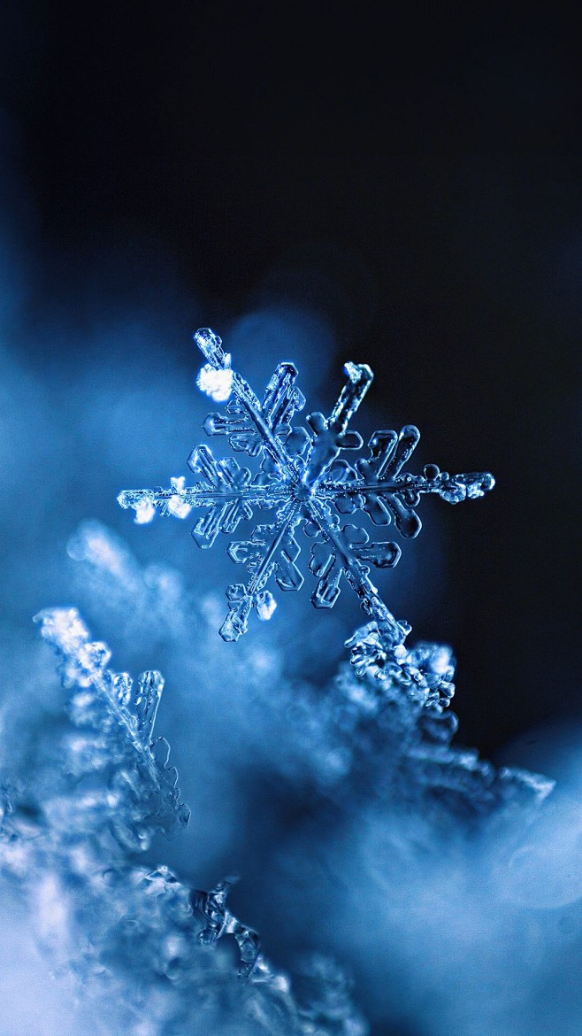 雪花08tothgaborgyulagettyimagesplus