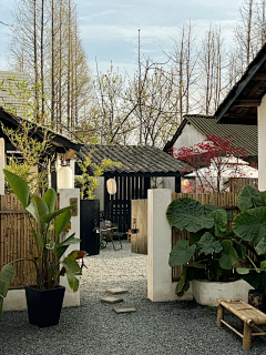 Min-strong采集到W-文旅、乡村、民宿