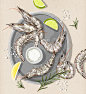 海鲜食物插画