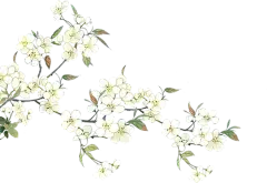 fbb093cafcf24c6e0cd37f70c74e8a513bce0f5f11c95-qotblP_fw658