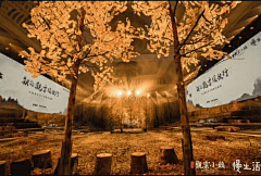 零号懒癌晚期患者采集到通道