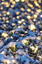 光斑下的雪景图片素材