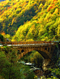 Autumn Bridge, Rugova Gorge, Kosovo 
photo via labelle