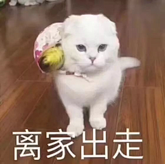 铭集采集到表情包❤