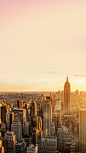 美国纽约城市背景高清素材 城市 大厦 摄影 纽约城 美国 美国纽约 风景 高楼大厦 背景 设计图片 免费下载