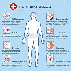 心理健康和人类大脑疾病