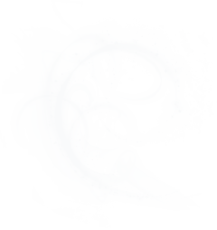 冬雪交织的椿采集到小插件