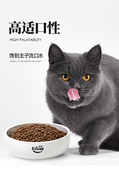 英子丶采集到宠物素材