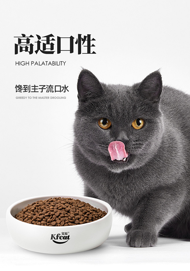 宽福40%蛋白无谷猫粮2kg4斤成猫幼猫蓝猫英短布偶增肥营养发腮-tmall.com天猫