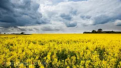 Xstudio精美设计摄影风光风景宽屏壁纸桌面壁纸3