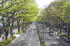 一而再再而三˙ϖ˙采集到B 街道、道路