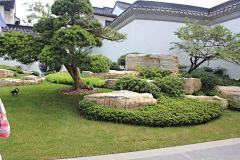 阿栋花园设计采集到植物地形