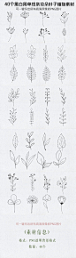 黑白简单线条花朵叶子植物PNG素材