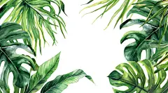 图源免费EPS |Vector watercolor palm leaves, summer poster background, summer travel web banner, palm day, tropical leaves