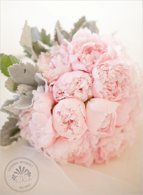 Pink Peony Wedding B...