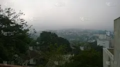 家畜,风景,兰花,水平画幅,云,茶花,无人,蝴蝶兰,晚樱科,阿雷格里波特