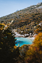 Nature, outdoors, plant and promontory | HD photo by Dylan Alcock (@dylan_alcock) on Unsplash : Download this photo by Dylan Alcock (@dylan_alcock)