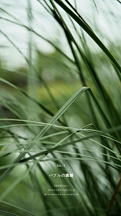 一天一小步采集到素材 / 背景 / 参考图