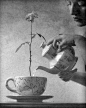 生活，就像品一壶美酒，醉了欢喜；生活，就像品一壶清茶，也淡了忧伤。剪一段时光，装点岁月；盈一份淡然，无悔无怨。笑看红花绿黛，暖融冬雪秋凉。