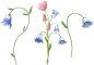 风铃草