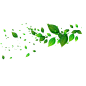 绿色的叶子漂浮悬浮PNG (16)