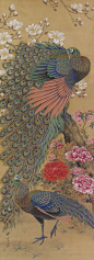 Peony and Peacock by Okamoto Shuki (1807-1862). Japanese hanging scroll painting, kakejiku.