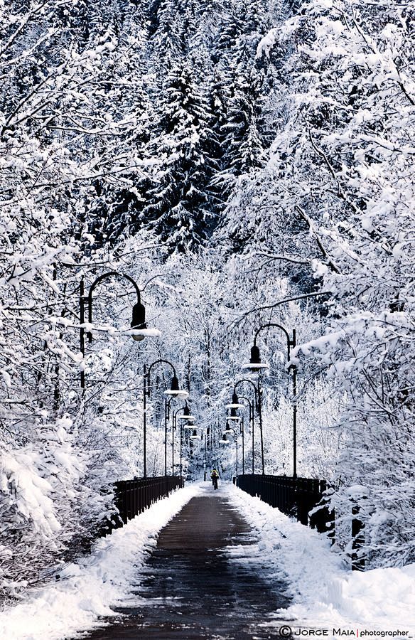 雪桥，德国菲森