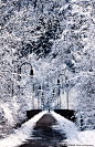 500px / Photo "Snowy bridge" by Jorge Maia