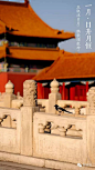 108张图看尽紫禁城的春夏秋冬 : 本文来自：微故宫（ID：weigugong），版权归其所有。 　　办公室门前有棵杏树，每逢三月便满树花开，之后硕果累累，最后落叶归根。 如此岁月往复，让我们萌生了记录紫禁城 一年中的景色的想法。 如今春去春又归，紫禁