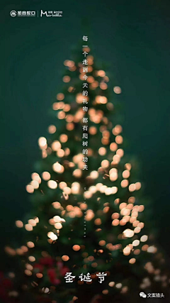 阿拉布丁采集到圣诞新年