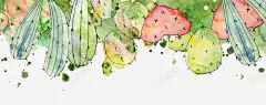 水彩彩色鲜花花卉边框装饰png免抠素材_新图网 https://ixintu.com 仙人掌 多肉植物 彩色 手绘植物 植物 绿植