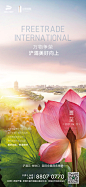 夏至节气单图-志设网-zs9.com