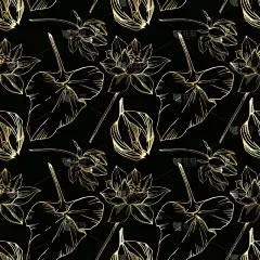 莲花,植物学,黑色,仅一朵花,纺织品,荷花,壁纸,植物群,春天,花