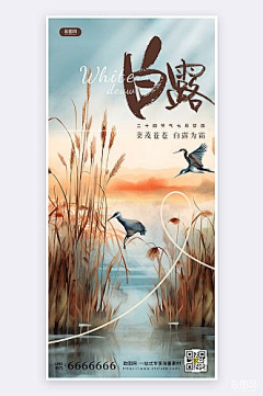 致图网小于采集到白露海报