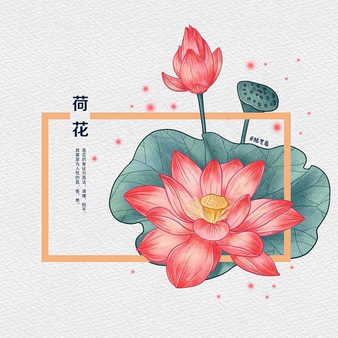 噪点扁平风手绘植物-06月荷花