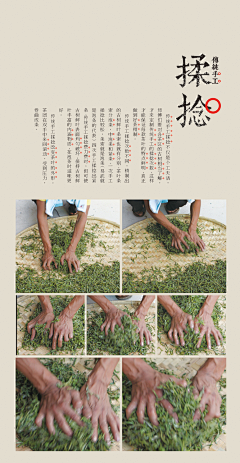 ellenxu采集到All About Tea