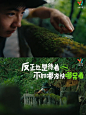 瞎拍夏天｜反正也是呆着，不如哪凉快哪呆着 - 小红书