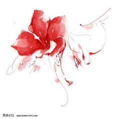 沐&悠采集到花