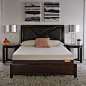 LulaaBED 10" Coral Firm King Memory Foam Mattress - Sam's Club