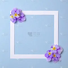 花框架与野生花瓣在柔和的蓝色背景。俯视图，温柔简约的平铺风格构成。邀请，贺卡或您的设计元素
