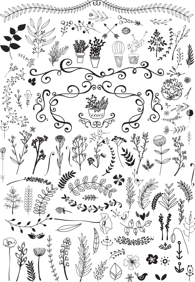 花卉花环边框png