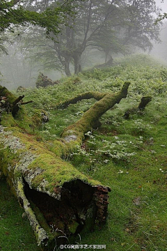 绿萝的爸B采集到风景