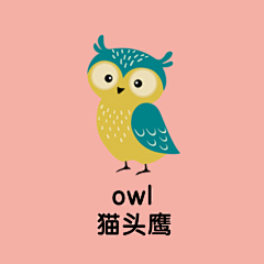 风中没有爱采集到语文