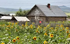 中国风：二十四节气宽屏壁纸桌面壁纸1