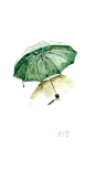 雨伞 #雨季# #壁纸# #插画#
