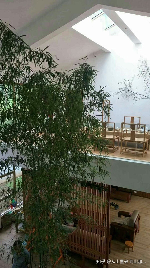 首页 - 知乎