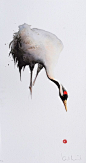 I think this is a Manchurian Crane - Lithograph from Watercolor by Karl Mårtens - Litografier « Edition Vulfovitch: 